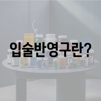 입술반영구란?