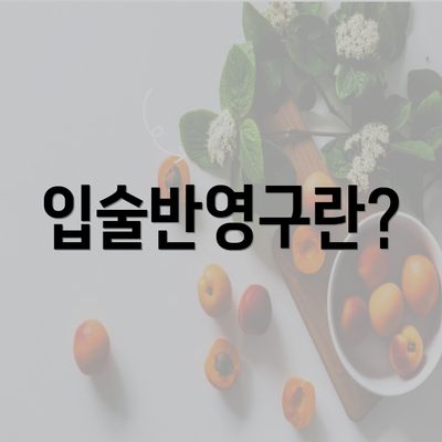 입술반영구란?