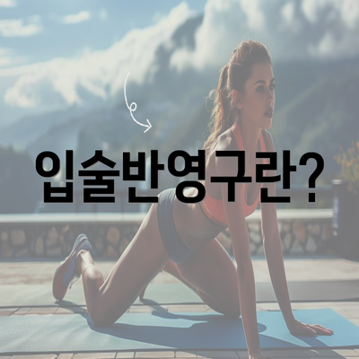 입술반영구란?