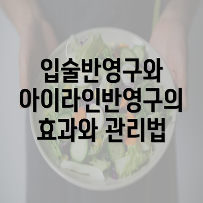 입술반영구와 아이라인반영구의 효과와 관리법