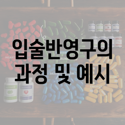 입술반영구의 과정 및 예시