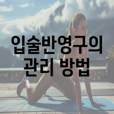 입술반영구의 관리 방법