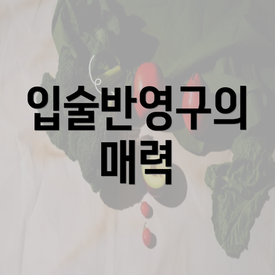 입술반영구의 매력