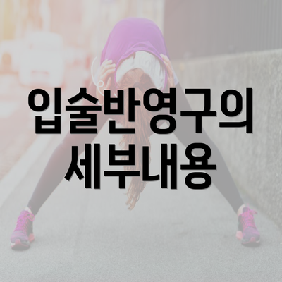 입술반영구의 세부내용