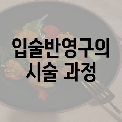 입술반영구의 시술 과정