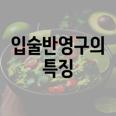 입술반영구의 특징