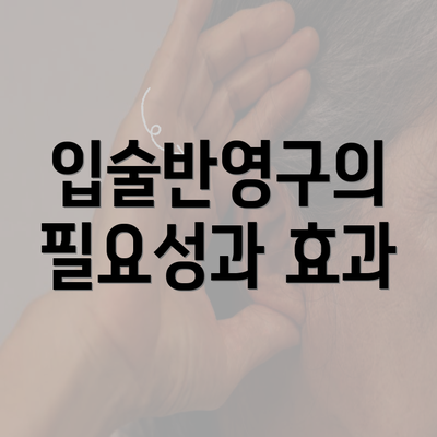 입술반영구의 필요성과 효과