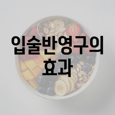 입술반영구의 효과