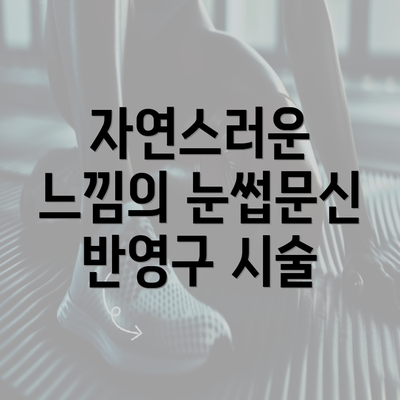 자연스러운 느낌의 눈썹문신 반영구 시술