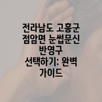 전라남도 고흥군 점암면 눈썹문신 반영구 선택하기: 완벽 가이드