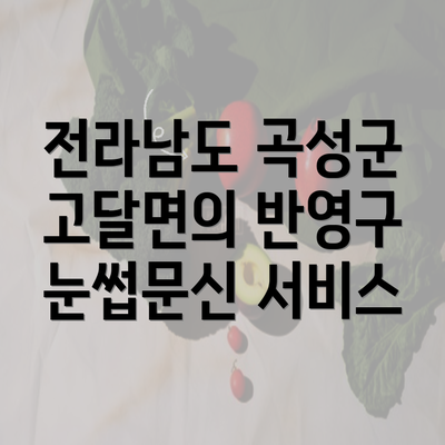 전라남도 곡성군 고달면의 반영구 눈썹문신 서비스