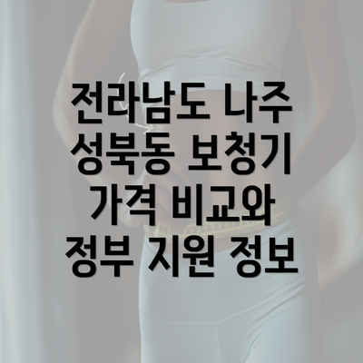 전라남도 나주 성북동 보청기 가격 비교와 정부 지원 정보