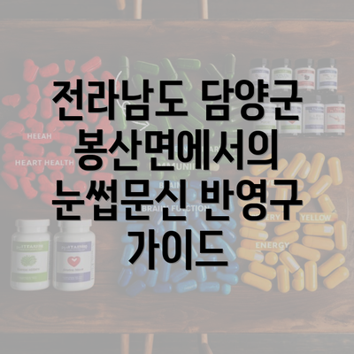 전라남도 담양군 봉산면에서의 눈썹문신 반영구 가이드