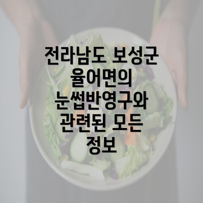 전라남도 보성군 율어면의 눈썹반영구와 관련된 모든 정보