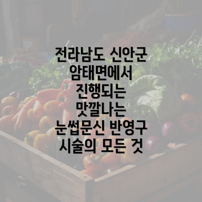 전라남도 신안군 암태면에서 진행되는 맛깔나는 눈썹문신 반영구 시술의 모든 것