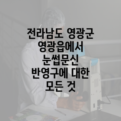 전라남도 영광군 영광읍에서 눈썹문신 반영구에 대한 모든 것