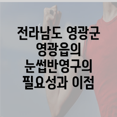 전라남도 영광군 영광읍의 눈썹반영구의 필요성과 이점