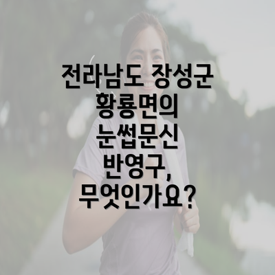 전라남도 장성군 황룡면의 눈썹문신 반영구, 무엇인가요?