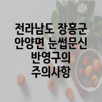 전라남도 장흥군 안양면 눈썹문신 반영구의 주의사항