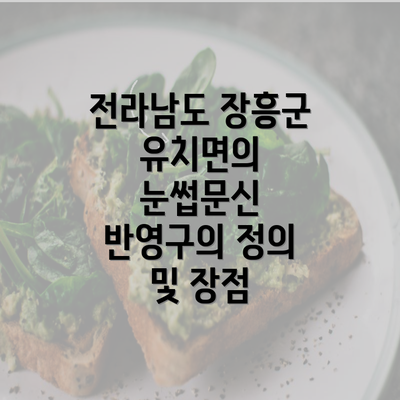 전라남도 장흥군 유치면의 눈썹문신 반영구의 정의 및 장점