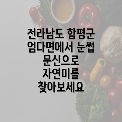 전라남도 함평군 엄다면에서 눈썹 문신으로 자연미를 찾아보세요