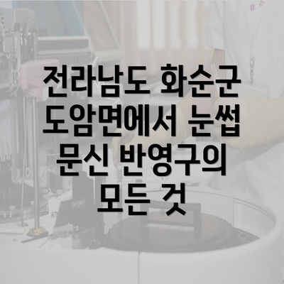 전라남도 화순군 도암면에서 눈썹 문신 반영구의 모든 것