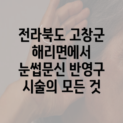 전라북도 고창군 해리면에서 눈썹문신 반영구 시술의 모든 것