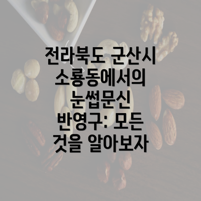 전라북도 군산시 소룡동에서의 눈썹문신 반영구: 모든 것을 알아보자