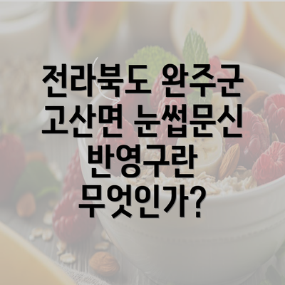 전라북도 완주군 고산면 눈썹문신 반영구란 무엇인가?