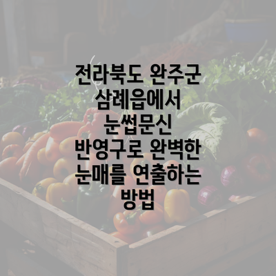 전라북도 완주군 삼례읍에서 눈썹문신 반영구 솔루션