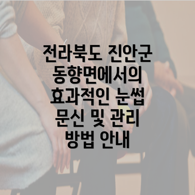 전라북도 진안군 동향면에서의 효과적인 눈썹 문신 및 관리 방법 안내