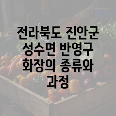 전라북도 진안군 성수면 반영구 화장의 종류와 과정