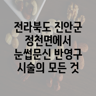 전라북도 진안군 정천면에서 눈썹문신 반영구 시술의 모든 것