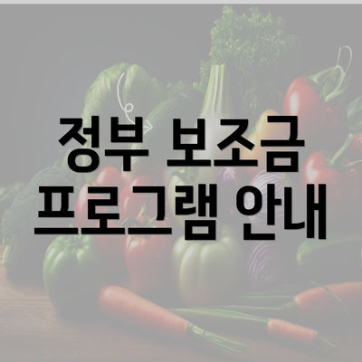 정부 보조금 프로그램 안내