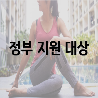 정부 지원 대상