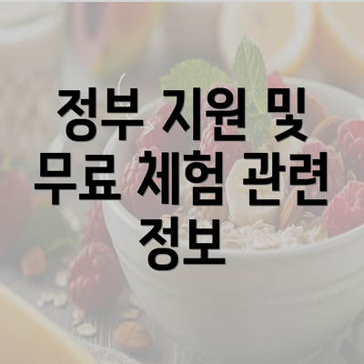 정부 지원 및 무료 체험 관련 정보