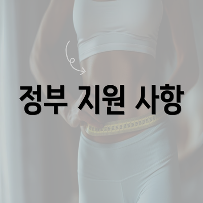 정부 지원 사항