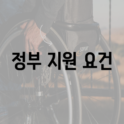 정부 지원 요건