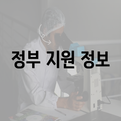 정부 지원 정보