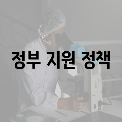 정부 지원 정책