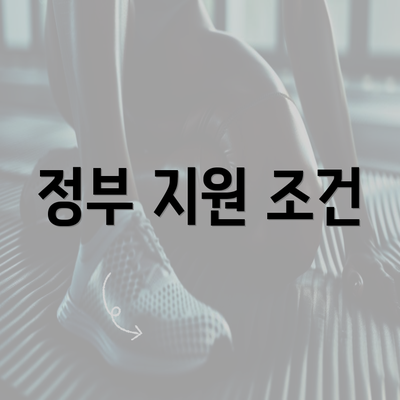 정부 지원 조건