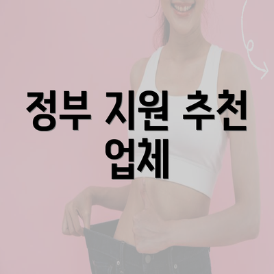 정부 지원 추천 업체