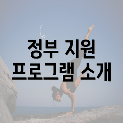 정부 지원 프로그램 소개