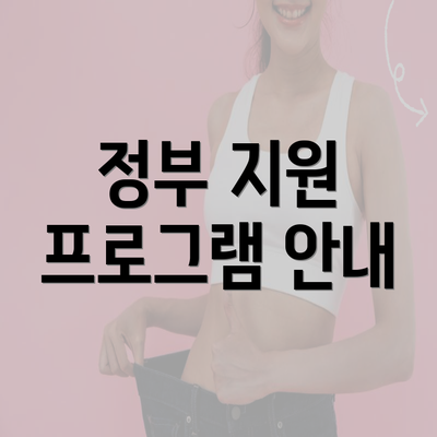 정부 지원 프로그램 안내