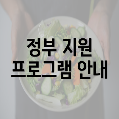 정부 지원 프로그램 안내