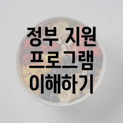 정부 지원 프로그램 이해하기