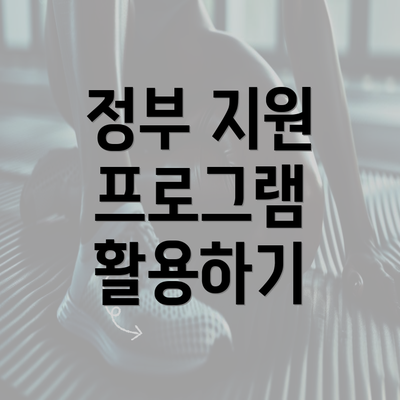 정부 지원 프로그램 활용하기