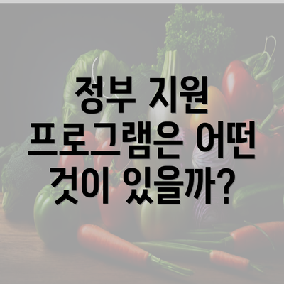 정부 지원 프로그램은 어떤 것이 있을까?