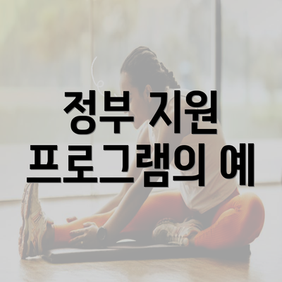 정부 지원 프로그램의 예