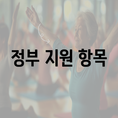 정부 지원 항목